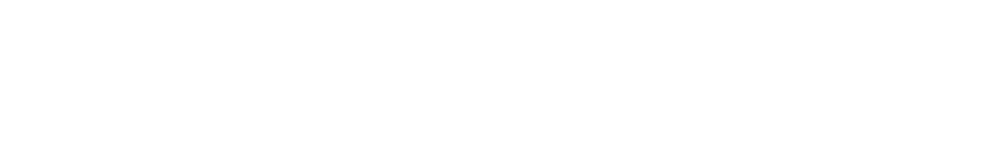 i4DS